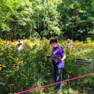 Plant Pull for LRC Meadow Restoration